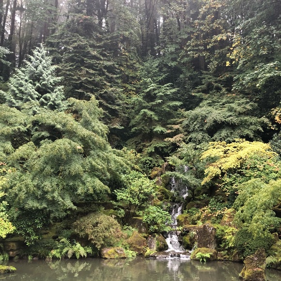 Meet your Posher, Keriann โ๏ธ - Picture 4 of 7